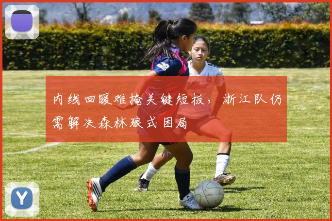 内线回暖难掩关键短板，浙江队仍需解决森林狼式困局