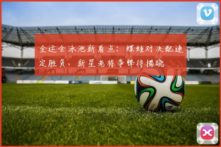 全运会泳池新看点：蝶蛙对决配速定胜负，新星老将争锋待揭晓