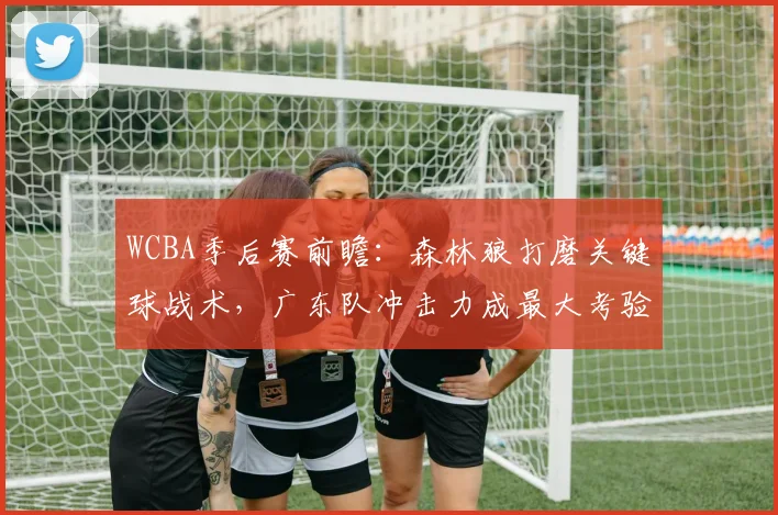 WCBA季后赛前瞻：森林狼打磨关键球战术，广东队冲击力成最大考验