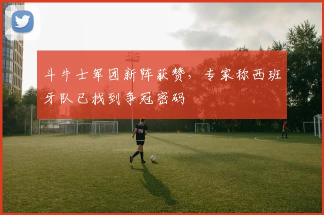 斗牛士军团新阵获赞，专家称西班牙队已找到争冠密码
