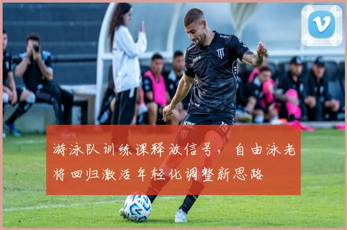 游泳队训练课释放信号，自由泳老将回归激活年轻化调整新思路