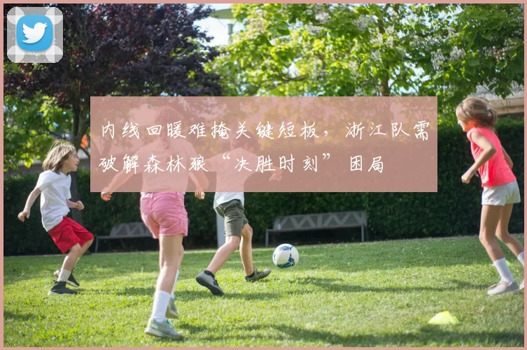 内线回暖难掩关键短板，浙江队需破解森林狼“决胜时刻”困局